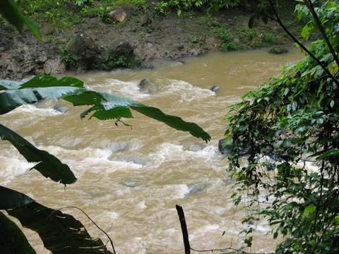 Sarapiqui River Costa Rica