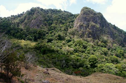 Altos de Campana National Park Panama