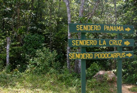 Altos de Campana National Park Panama