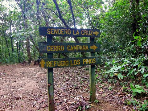Altos de Campana National Park Panama