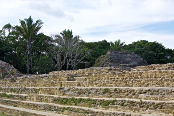 Altun Ha photo 2