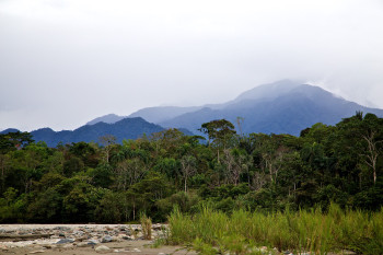 Amazon River photo 3