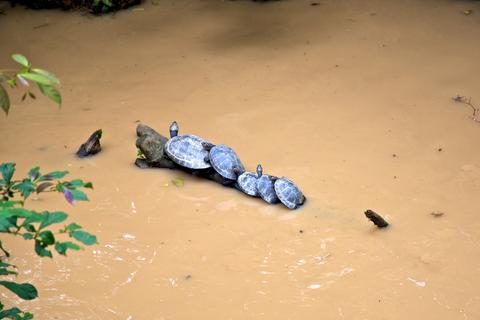 Amazon River Ecuador