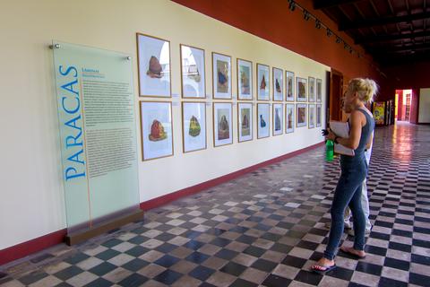 Archaeological Museum Peru