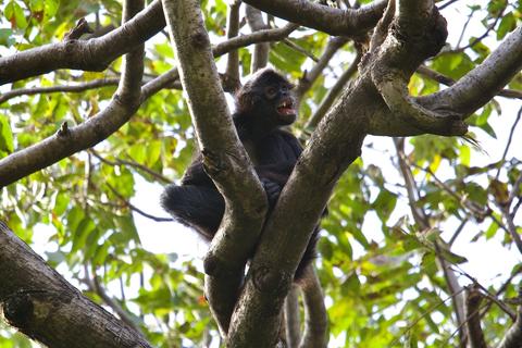 Atitlán Nature Reserve Guatemala