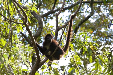 Reserva Natural Atitlán Guatemala