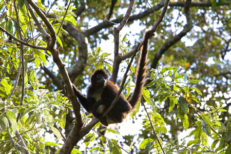 Atitlán Nature Reserve