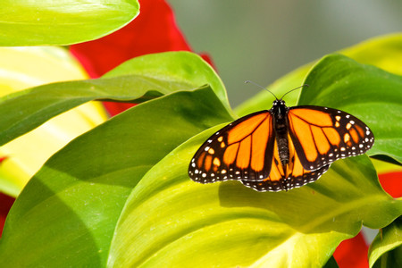 Atitlán Nature Reserve