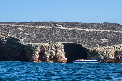 Ballestas Islands Peru