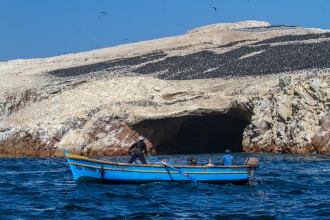 Ballestas Islands Peru
