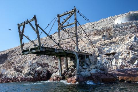 Ballestas Islands Peru