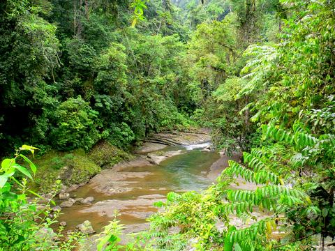 Barbilla National Park Costa Rica