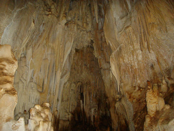 Parque Nacional Barra Honda photo 2
