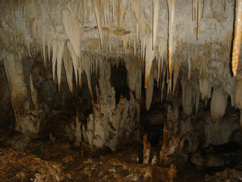 Parque Nacional Barra Honda photo 3