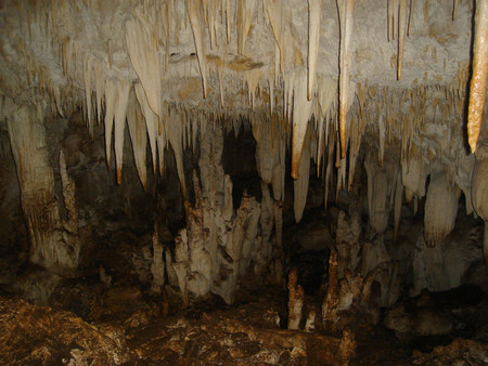 Parque Nacional Barra Honda photo 3