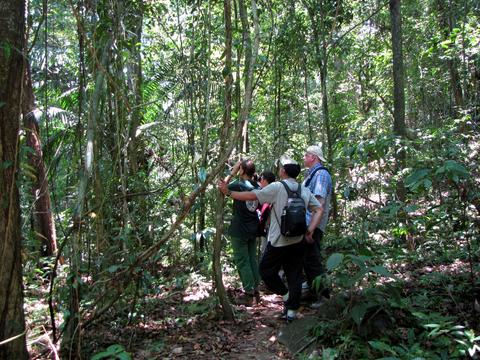 Barro Colorado Panama