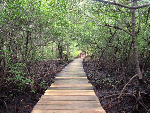 Bastimentos Island National Park Panama