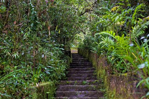 Biotopo del Quetzal Guatemala