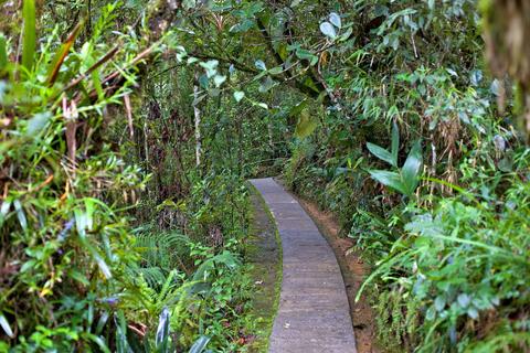 Biotopo del Quetzal Guatemala