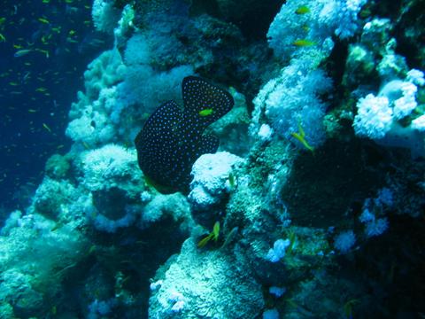 Blue Hole National Park Belize