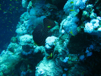 Blue Hole National Park photo 2