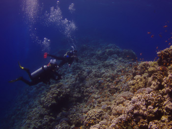 Blue Hole National Park photo 3