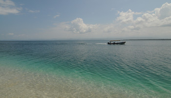 Bocas del Drago photo 2