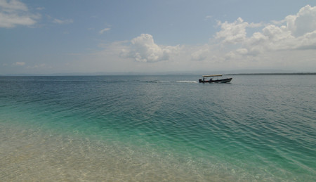 Bocas del Drago photo 2