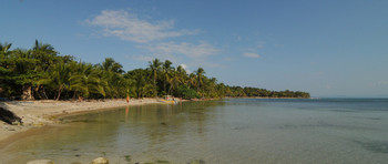 Bocas del Drago photo 3