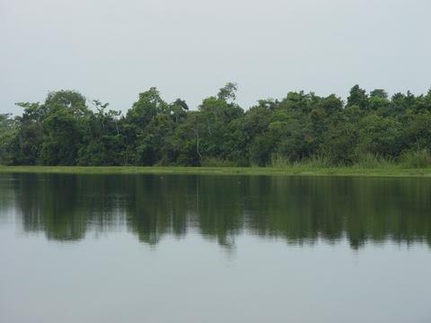 Bocas del Polochic Guatemala