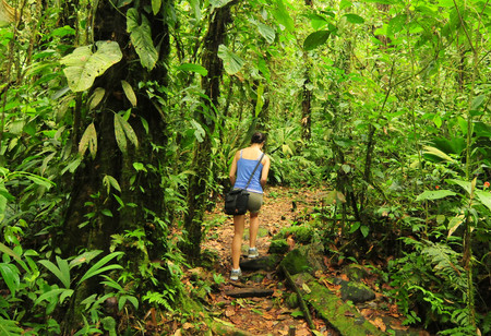 Parque Nacional Braulio Carrillo photo 3