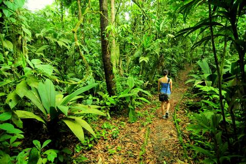 Braulio Carrillo National Park Costa Rica