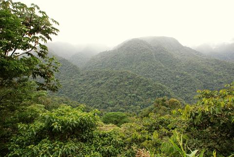 Parque Nacional Braulio Carrillo Costa Rica