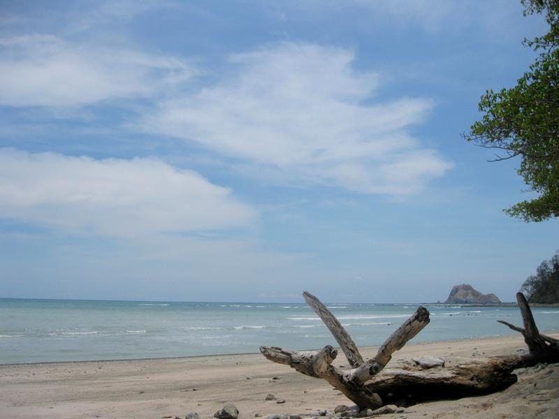 Cabo Blanco Absolute Reserve, Costa Rica 2023 Guide