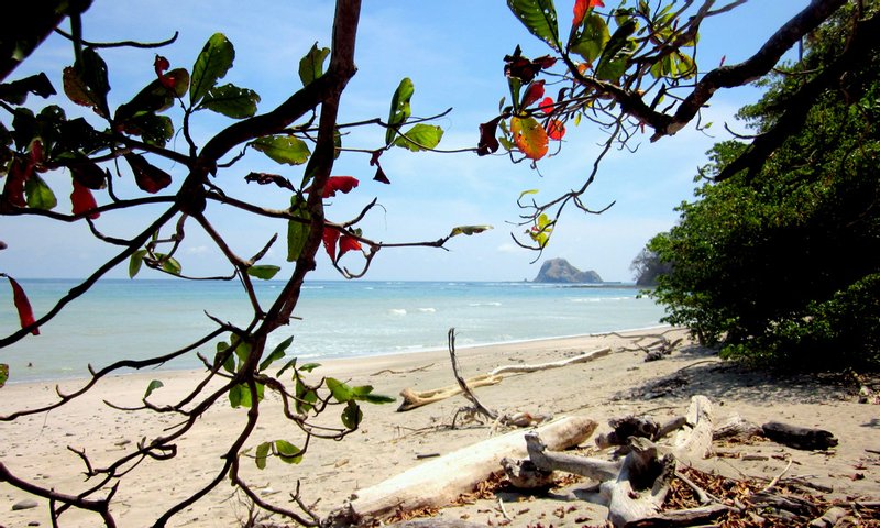 Driftwood on a beach in Cabo Blanco reserve, with a rocky islet offshore