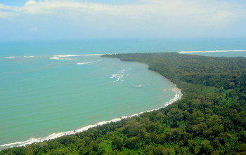 Parque Nacional Cahuita photo 2