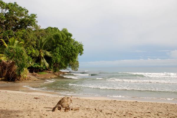 Cahuita National Park