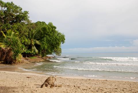 Parque Nacional Cahuita Costa Rica