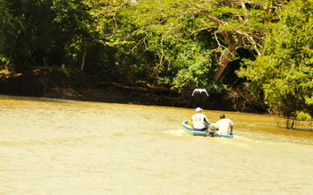 Refugio de Vida Silvestre Caño Negro photo 3
