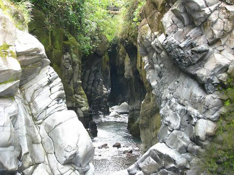 Cañón Macho de Monte Panama