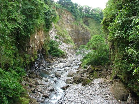 Cañón Macho de Monte Panama