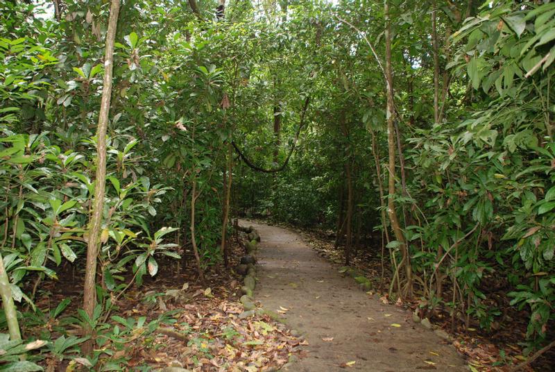 2023 Visitor Guide to Carara National Park, Costa Rica