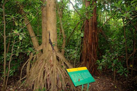 Carara National Park Costa Rica