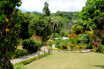 Casa de Orquideas photo 3