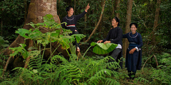 Cat Tien National Park