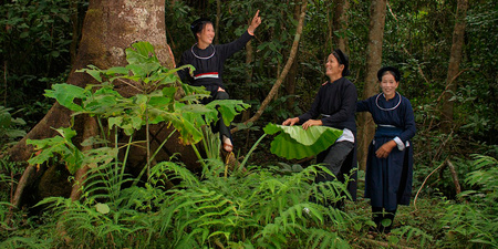 Cat Tien National Park