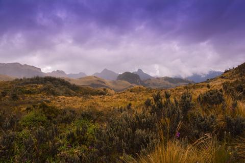 Cayambe Ecological Reserve Ecuador