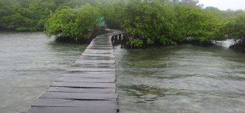 Cayo Crawl Panama