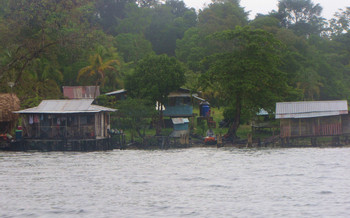 Cayo Crawl photo 3