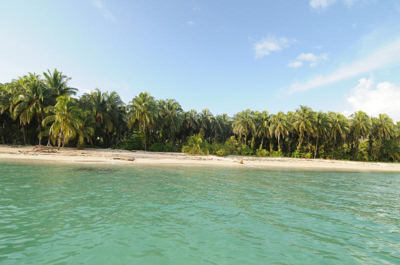 2024 Visitor Guide to Cayos Zapatillas Panama